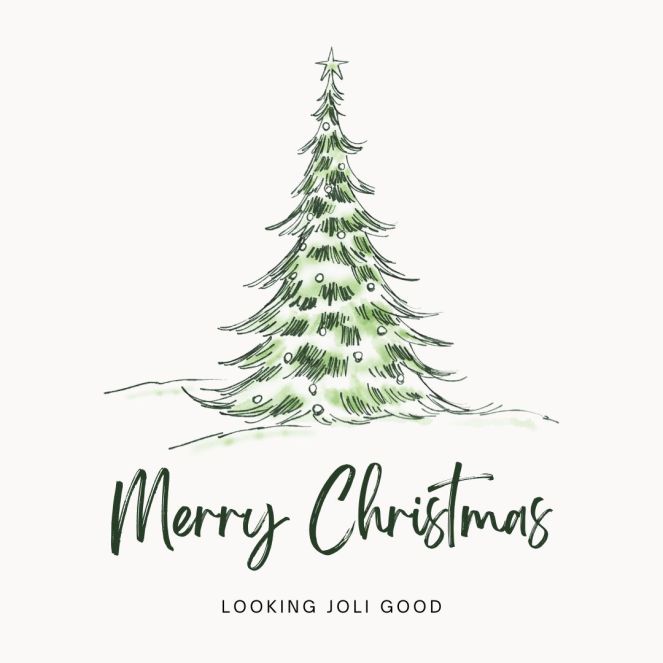 merry christmas | lookingjoligood.wordpress.com